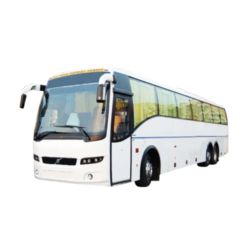 Ayo Taxi Service : Bus