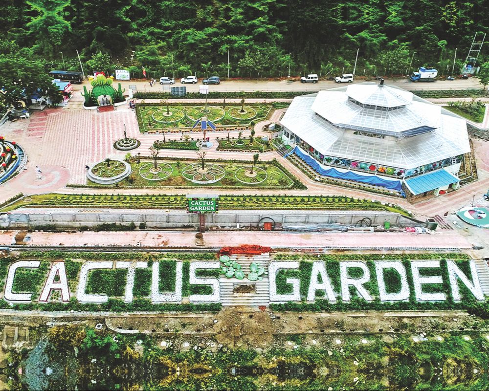 Cactus Garden & Butterfly Garden