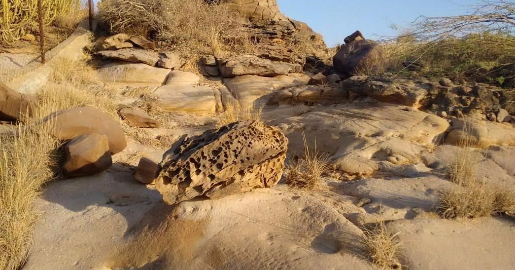 Fossil Park Kutch