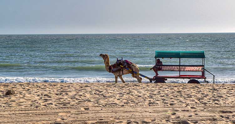 Mandvi Beach bhuj