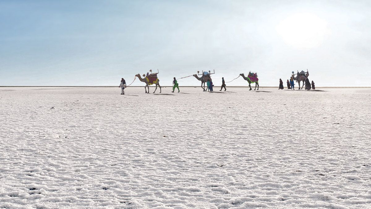 white runn of kutch