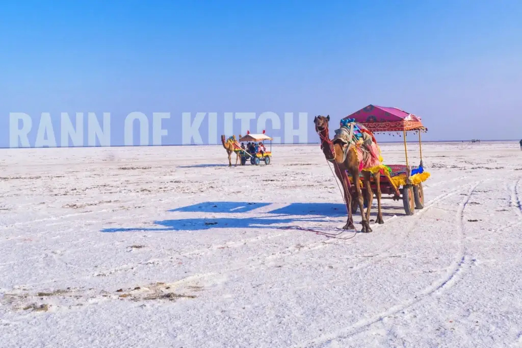 White Rann of Kutch